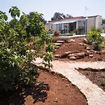 Freeman וילה *