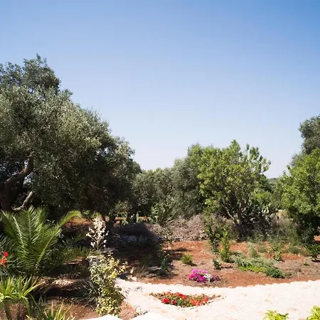 Freeman Ostuni